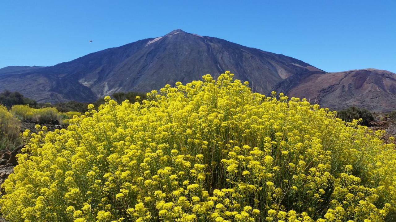 Sissi Boutique - The Terrace Between Ocean And Teide 圣乌尔苏拉 外观 照片